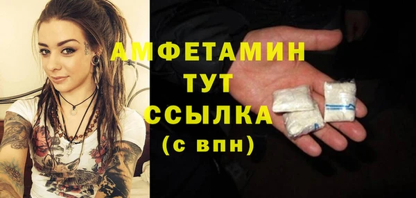 молекула духа Алексин