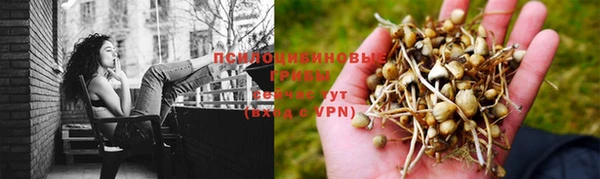 ешки Алексеевка