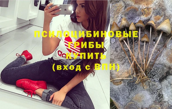 ешки Алексеевка