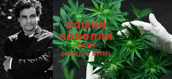 ГАЛЛЮЦИНОГЕННЫЕ ГРИБЫ Надым