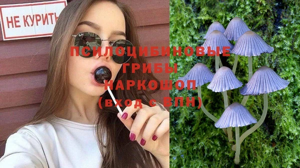 2c-b Алзамай