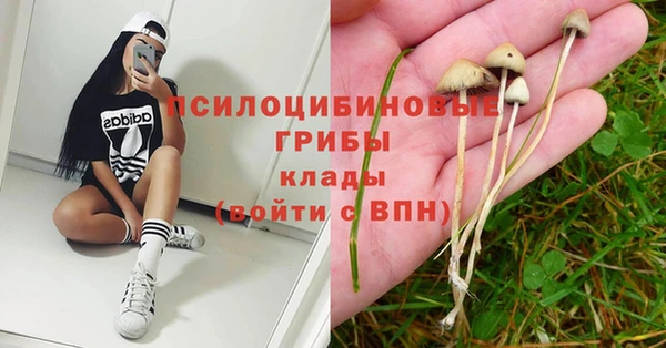 ешки Алексеевка