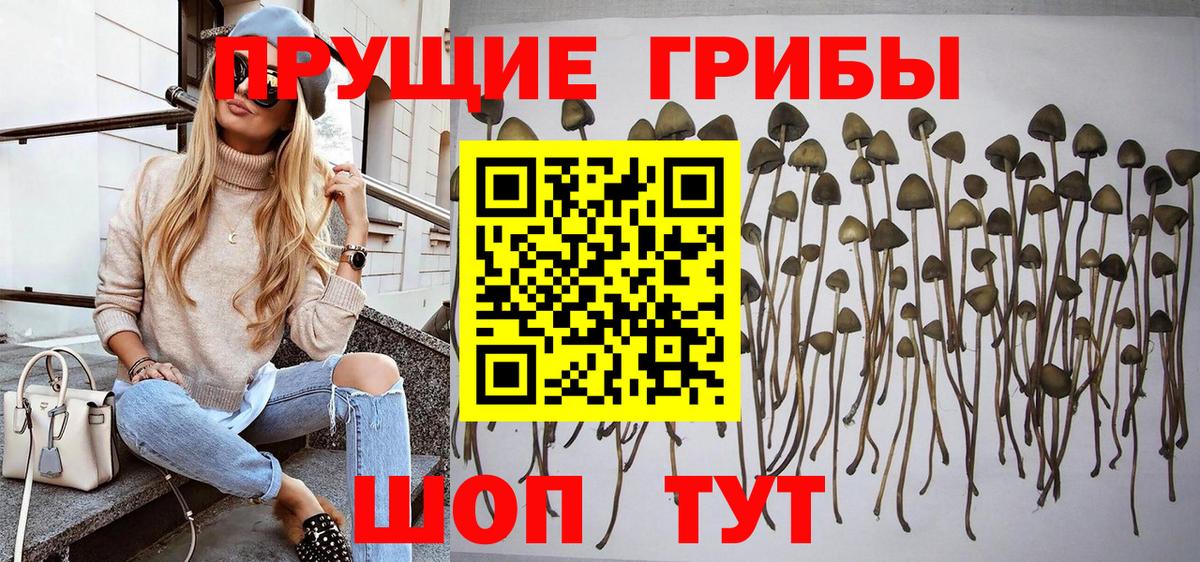 Уссурийск  Псилоцибиновые грибы мицелий  Вход с VPN 