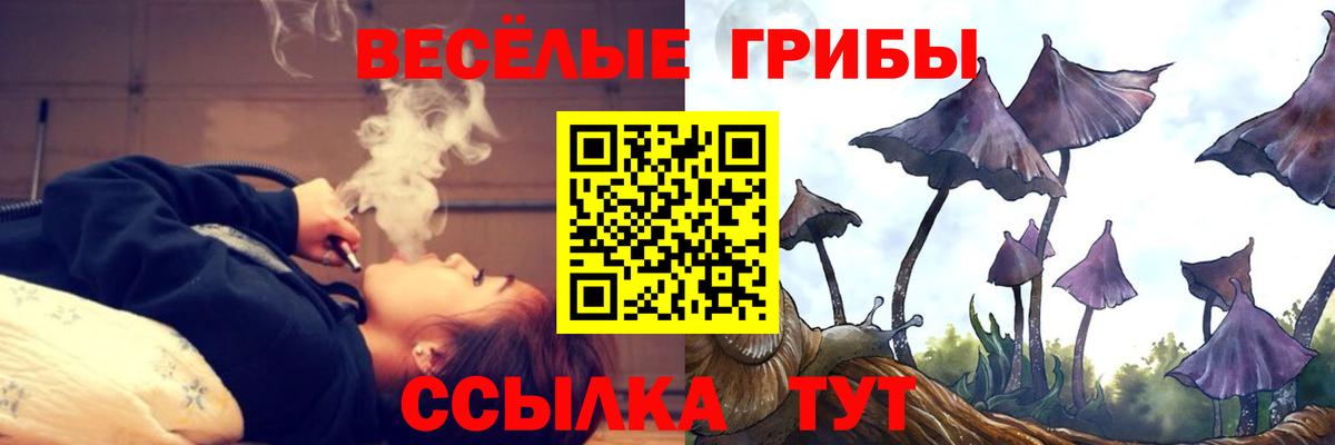 Псилоцибиновые грибы прущие грибы Уссурийск